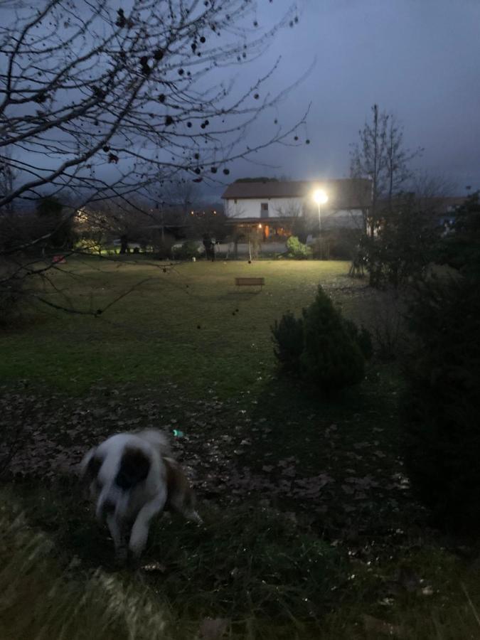 Agriturismo Il Podere Vedelago Con San Bernardo, Alpaca E Una Pentola Di Cose Da Scoprire Экстерьер фото