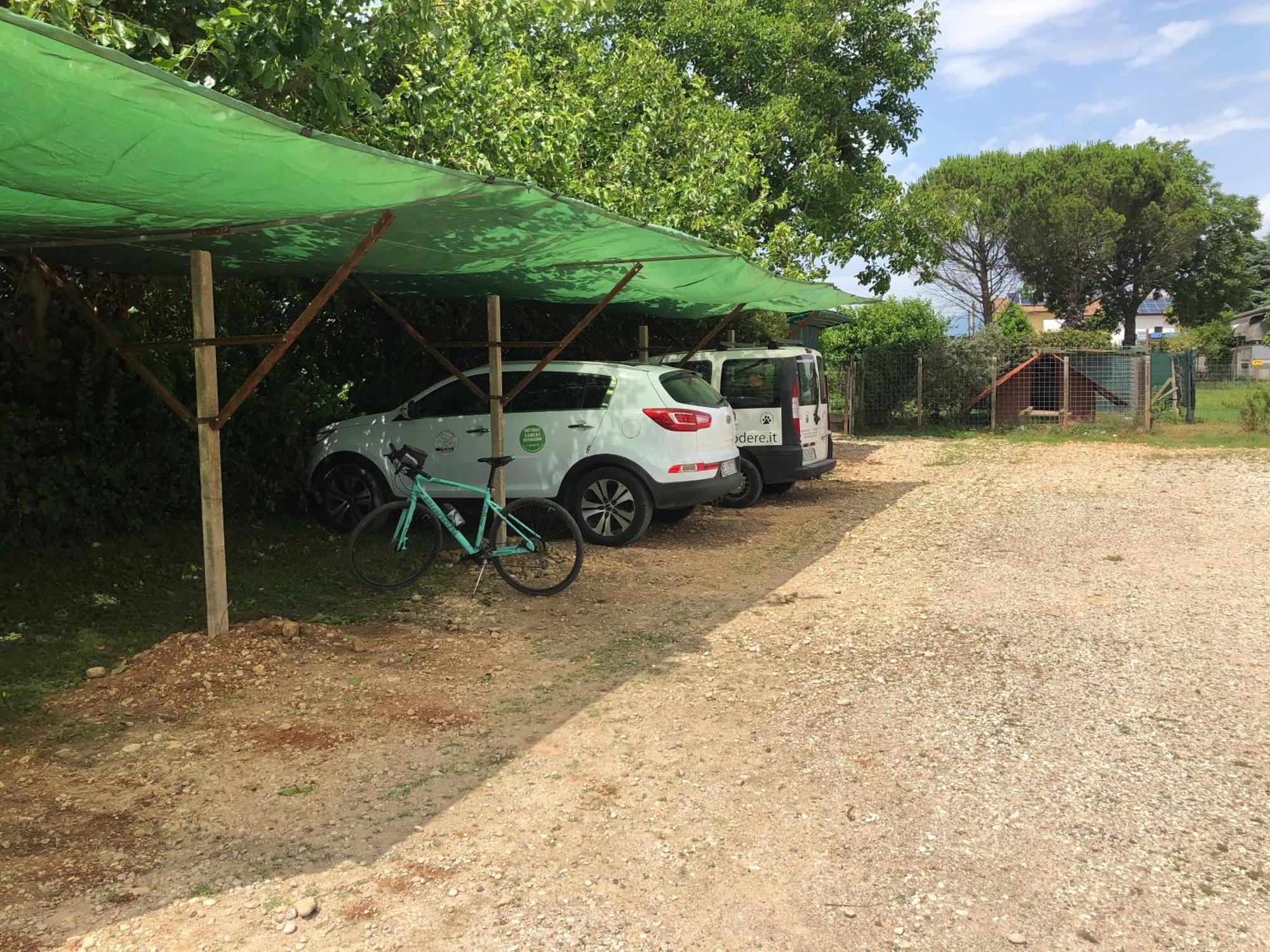 Agriturismo Il Podere Vedelago Con San Bernardo, Alpaca E Una Pentola Di Cose Da Scoprire Экстерьер фото