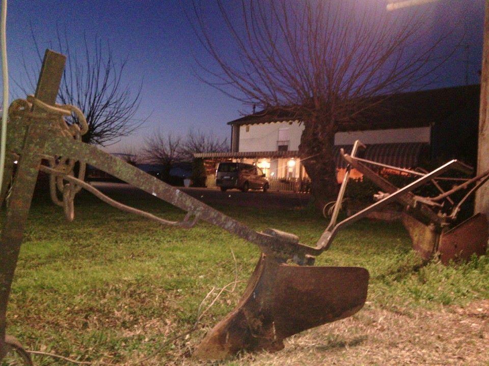 Agriturismo Il Podere Vedelago Con San Bernardo, Alpaca E Una Pentola Di Cose Da Scoprire Экстерьер фото